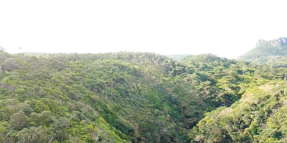 国頭村 宇佐浜ビーチ 北部