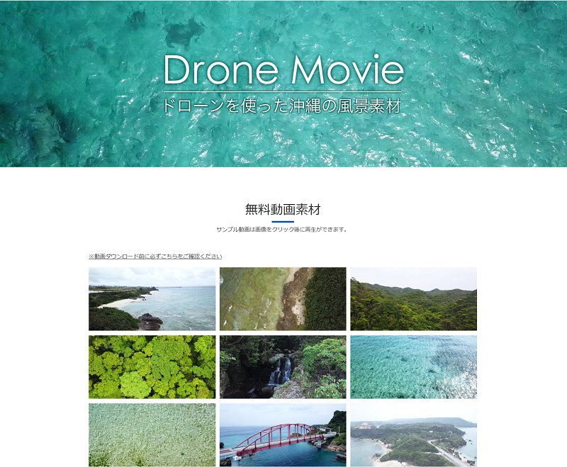 Drone Movie