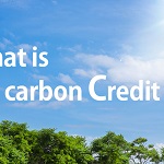 icon_carboncredit