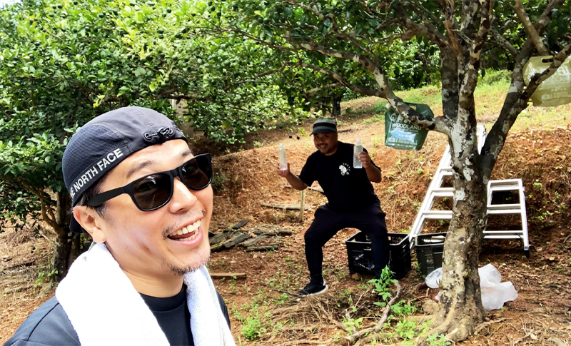 シークヮーサー狩りMV